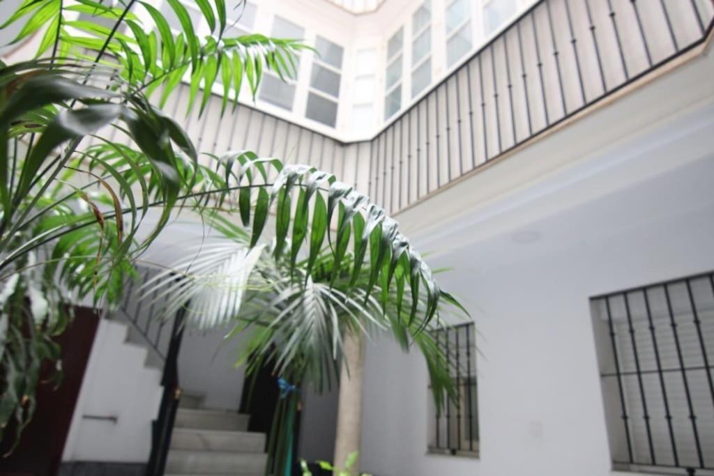 Apartamento Feduchy 10 Min De La Playa 2 Banos Καντίζ Εξωτερικό φωτογραφία